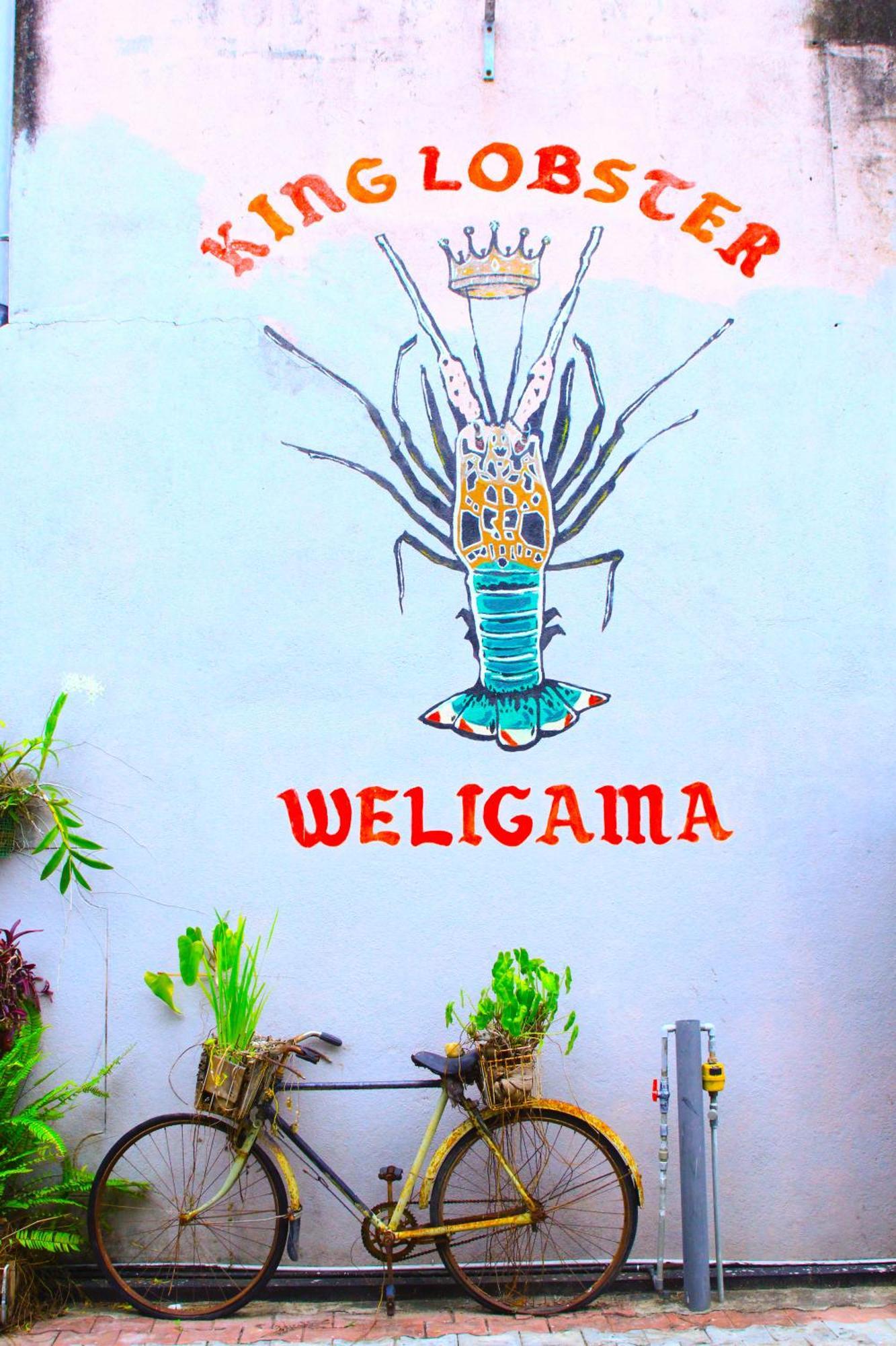 7Elements - Boutique Hotel & Restaurant Weligama Ngoại thất bức ảnh
